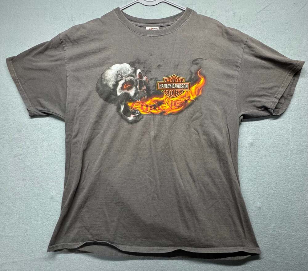 Harley-Davidson Four Rivers Paducah KY Skull Flames Graphic T-Shirt Gray XL